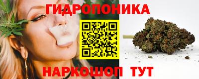 хмурый Свободный